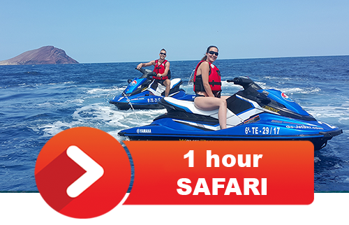 1hour-safari