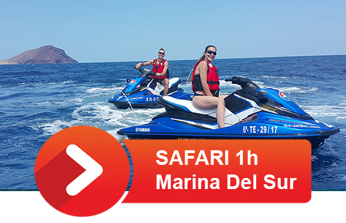 1hour-safari-marina-del-sur