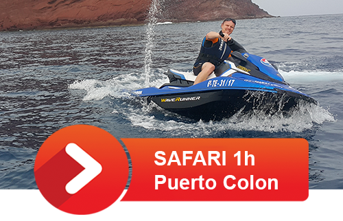 safari-1h-puerto-colon